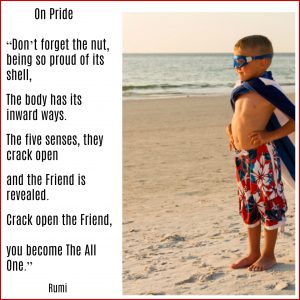 Self Inquiry on Pride